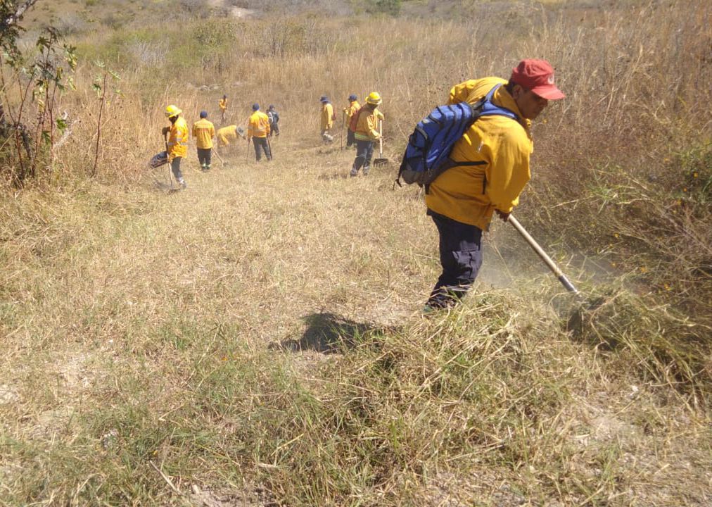 Realiza Sgirpcgro acciones preventivas contra incendios forestales y suburbanos en Chilpancingo