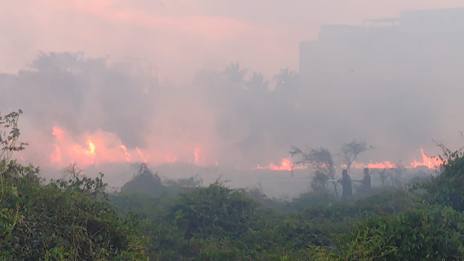 Incendios han consumido más de 52 mil hectáreas en Guerrero en lo que va de la temporada 2025 
