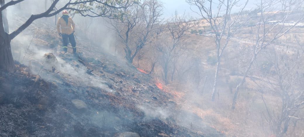 Encabezan Guerrero, Jalisco y Michoacán incendios forestales activos en el país