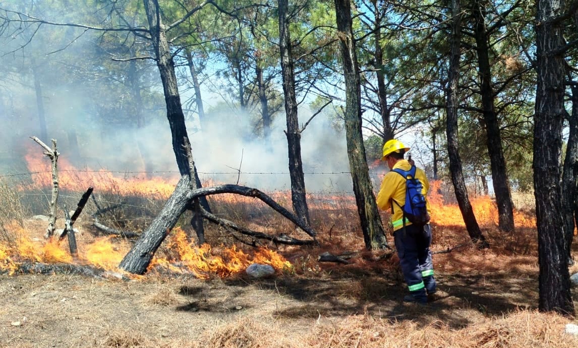 Alarma incendio a Llanos de Tepoxtepec, fue controlado por voluntarios y brigadas del gobierno