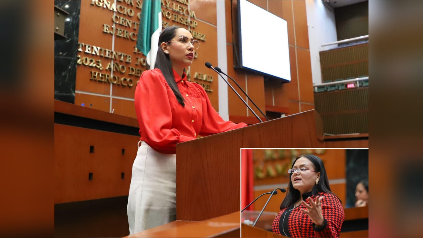 Analiza la 64 Legislatura facultar a jueces penales la inscripción de deudores alimentarios en el padrón 