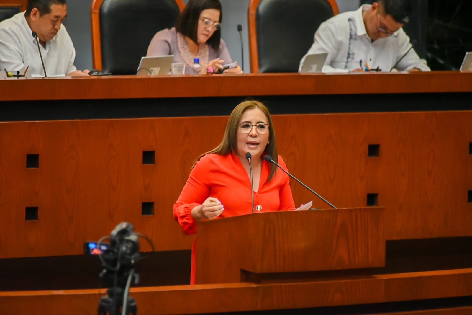 Propone diputada la Ley de fomento a la lectura y el libro del estado de Guerrero  