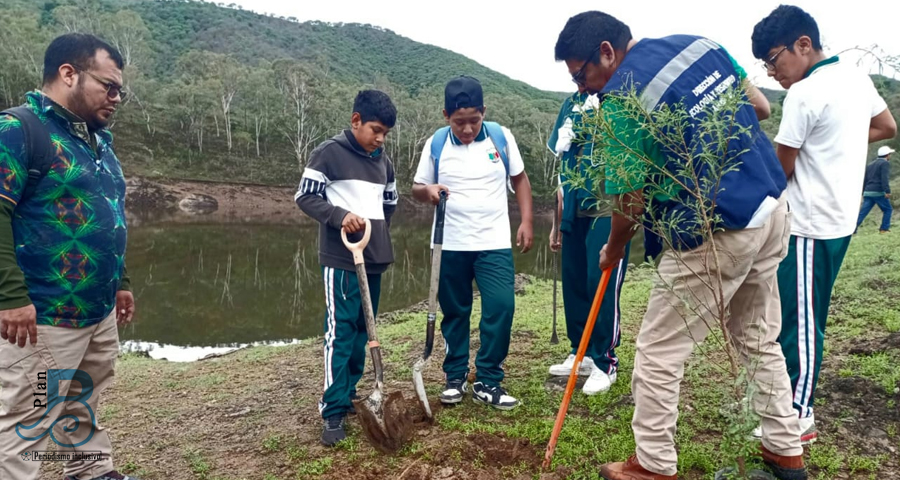 Reforesta Consejo Consultivo Ciudadano con 800 árboles alrededores de la presa de Tixtla