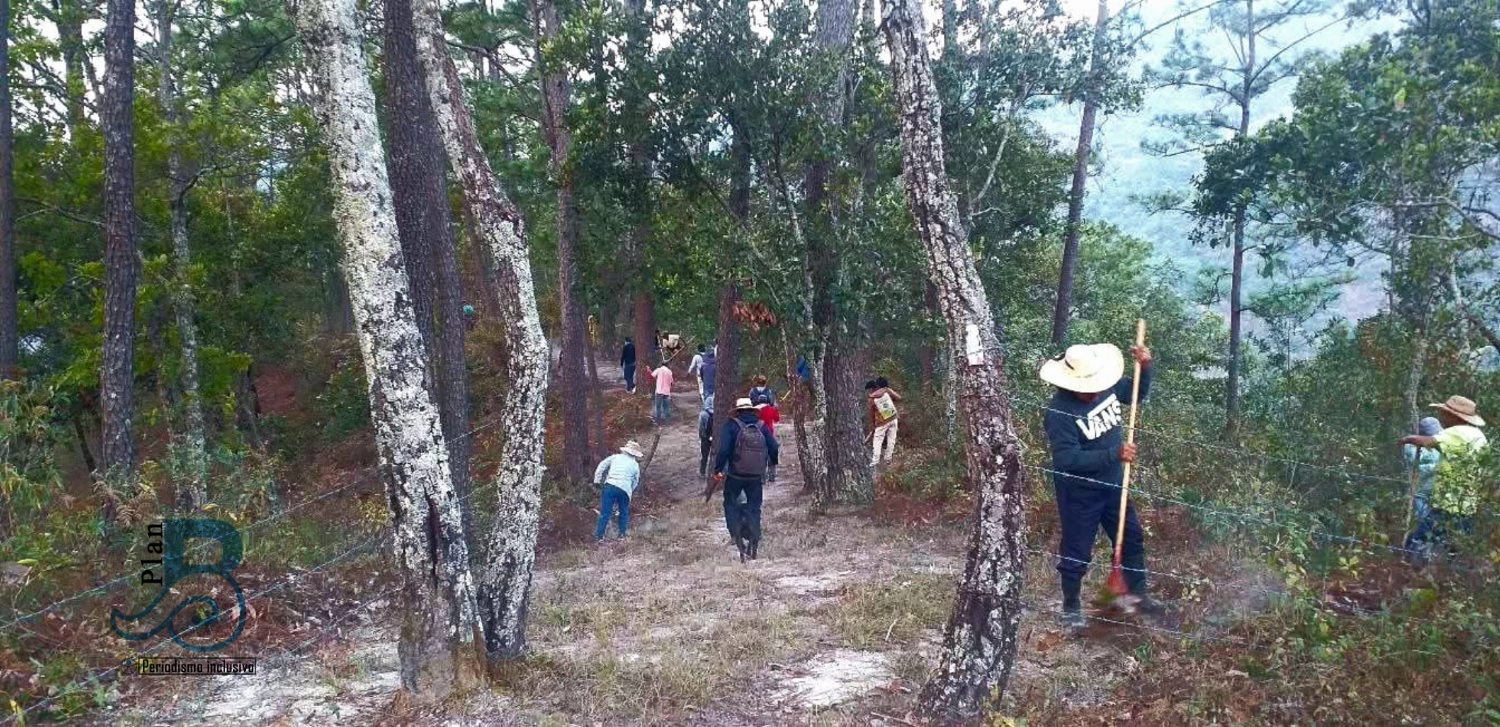 Sin apoyo del gobierno ciudadanos de Azinyahualco se preparan para temporada de incendios