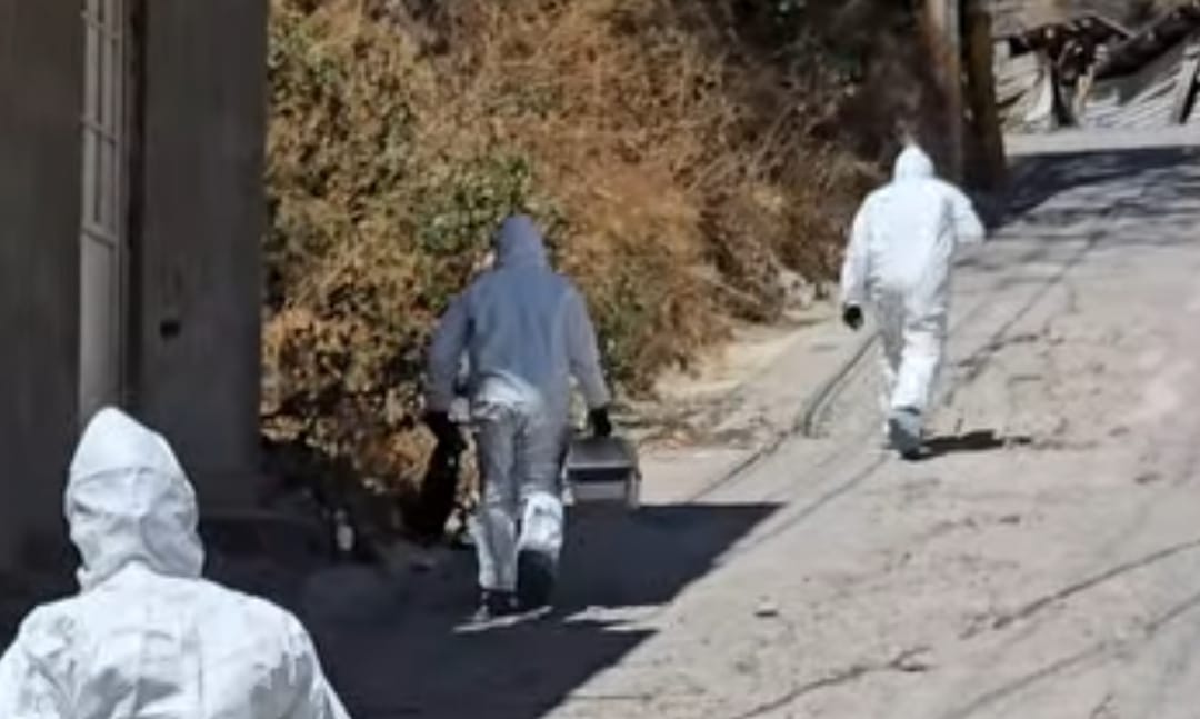 Localizan restos de mujer desmembrada en la colonia Renacimiento