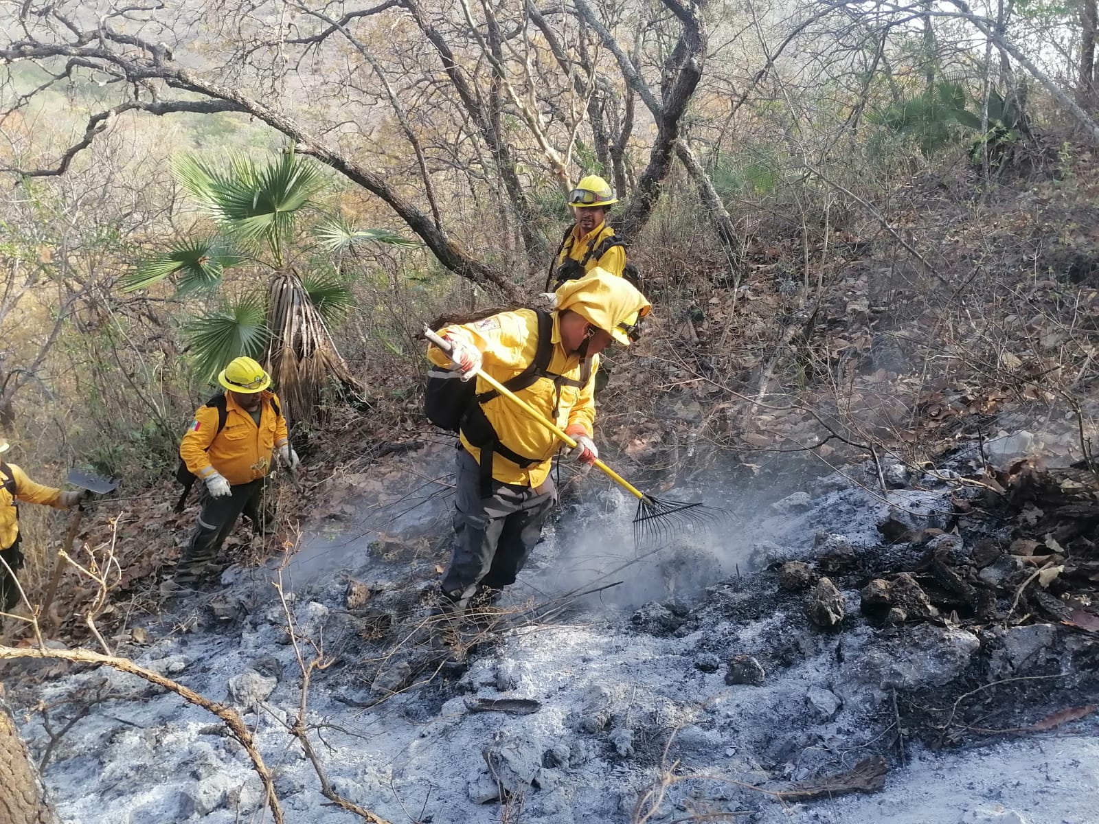 Registra Guerrero mayor número de incendios forestales activos en todo el país